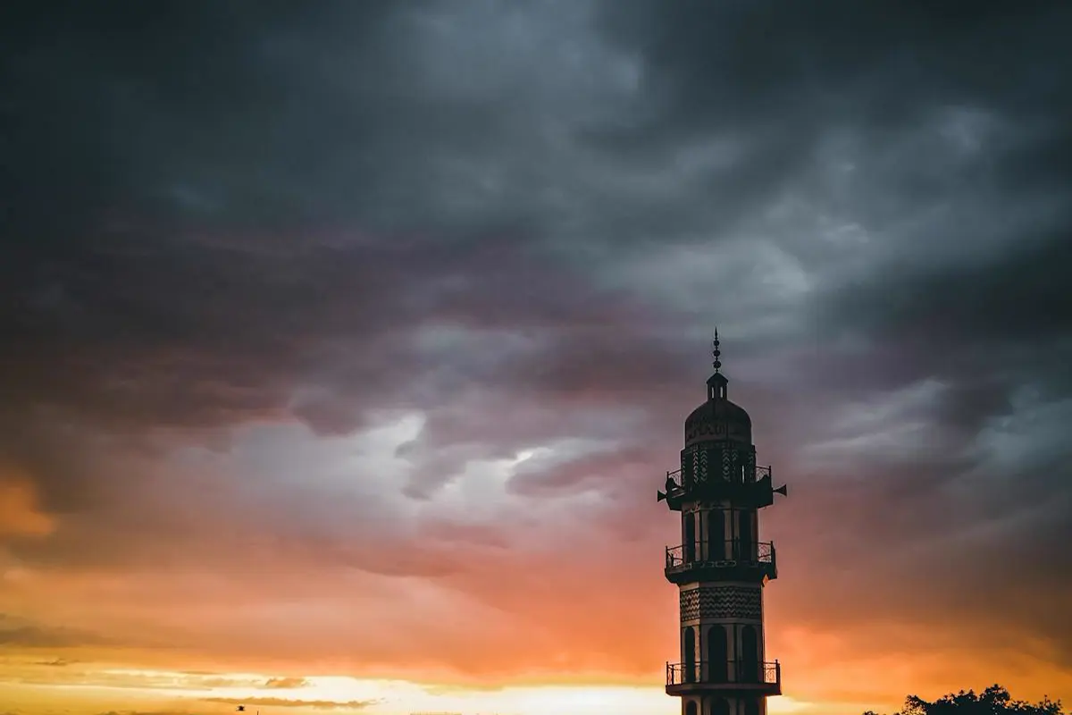 How to Spot a Debt Review Scam in South Africa